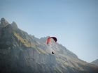 Fliegen